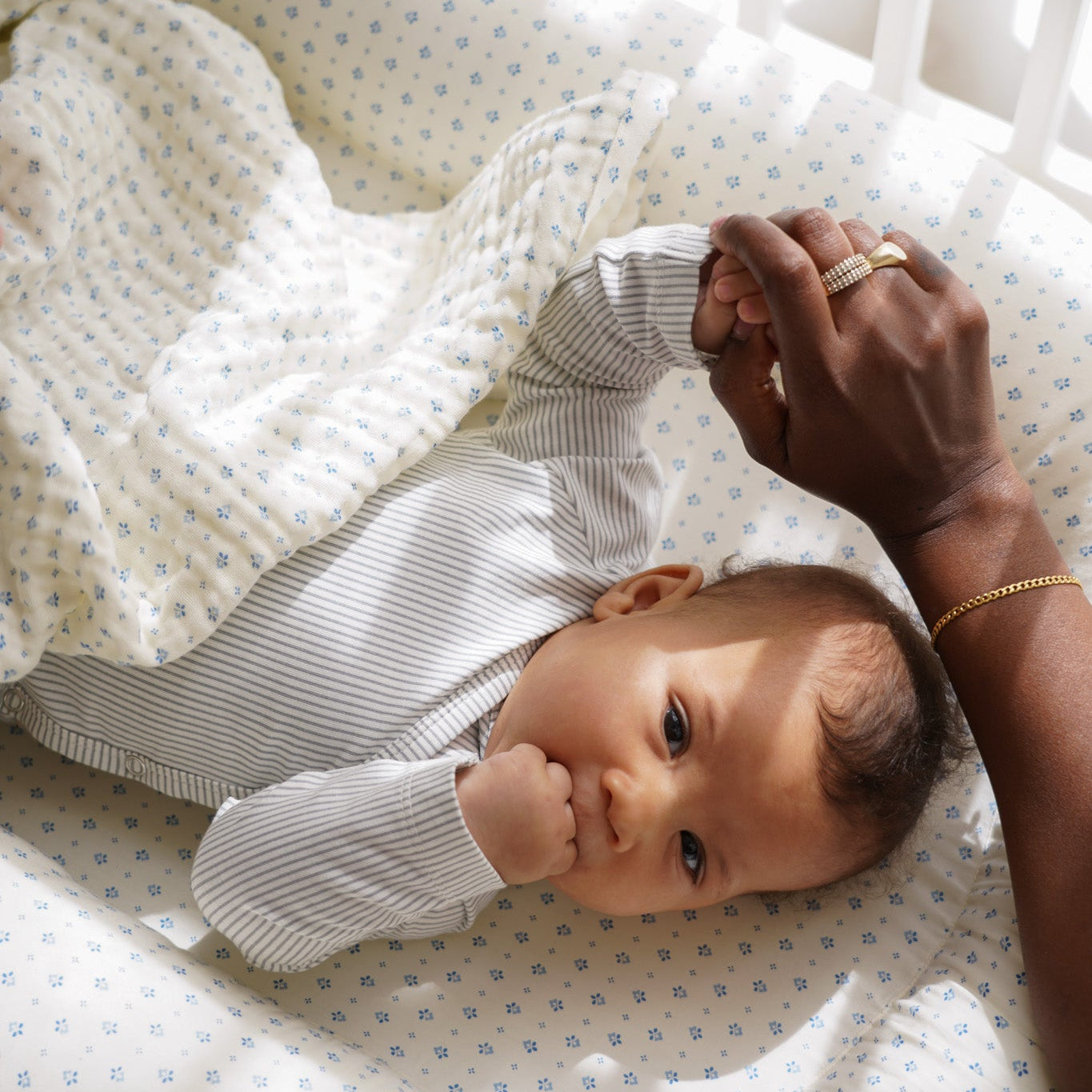 Baby Nest - OCS - Caprice