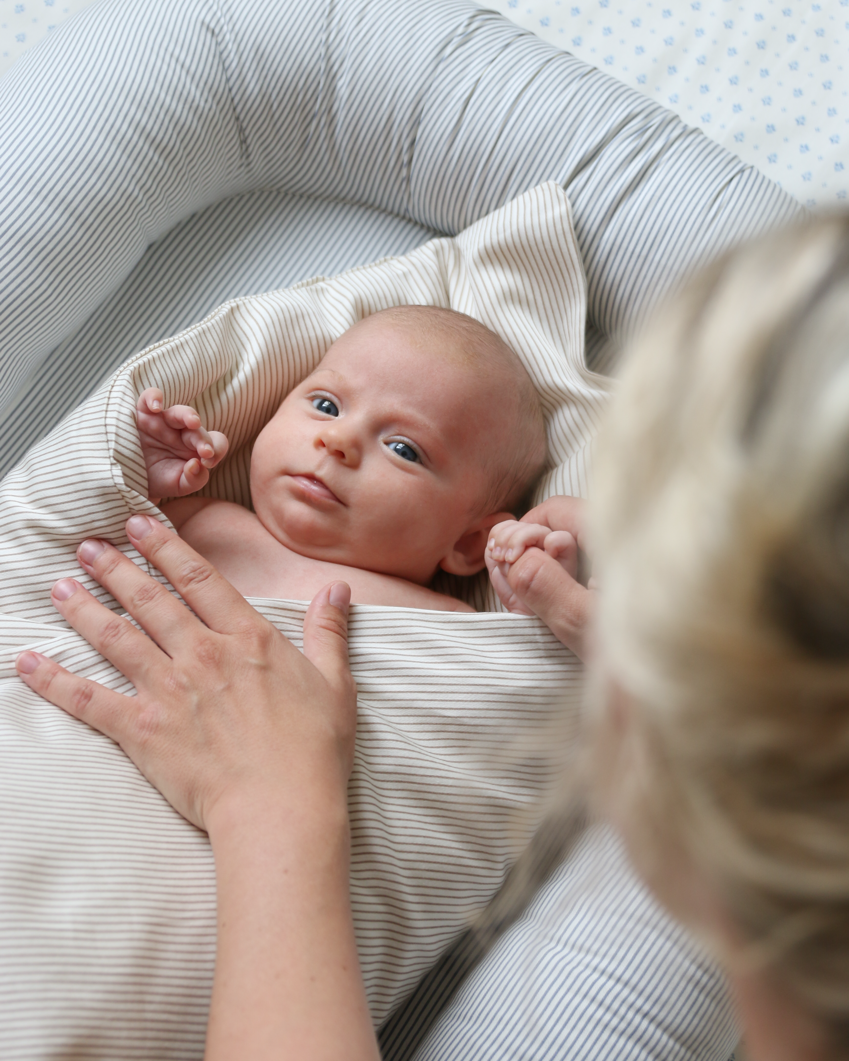 Baby Nest - OCS - Classic Stripes Blue