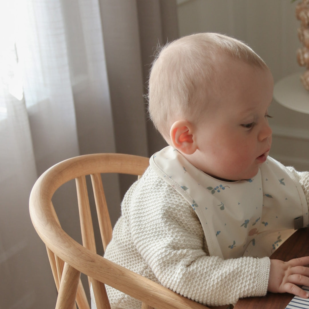 Bib w/ pocket, 2-pack - Blueberries