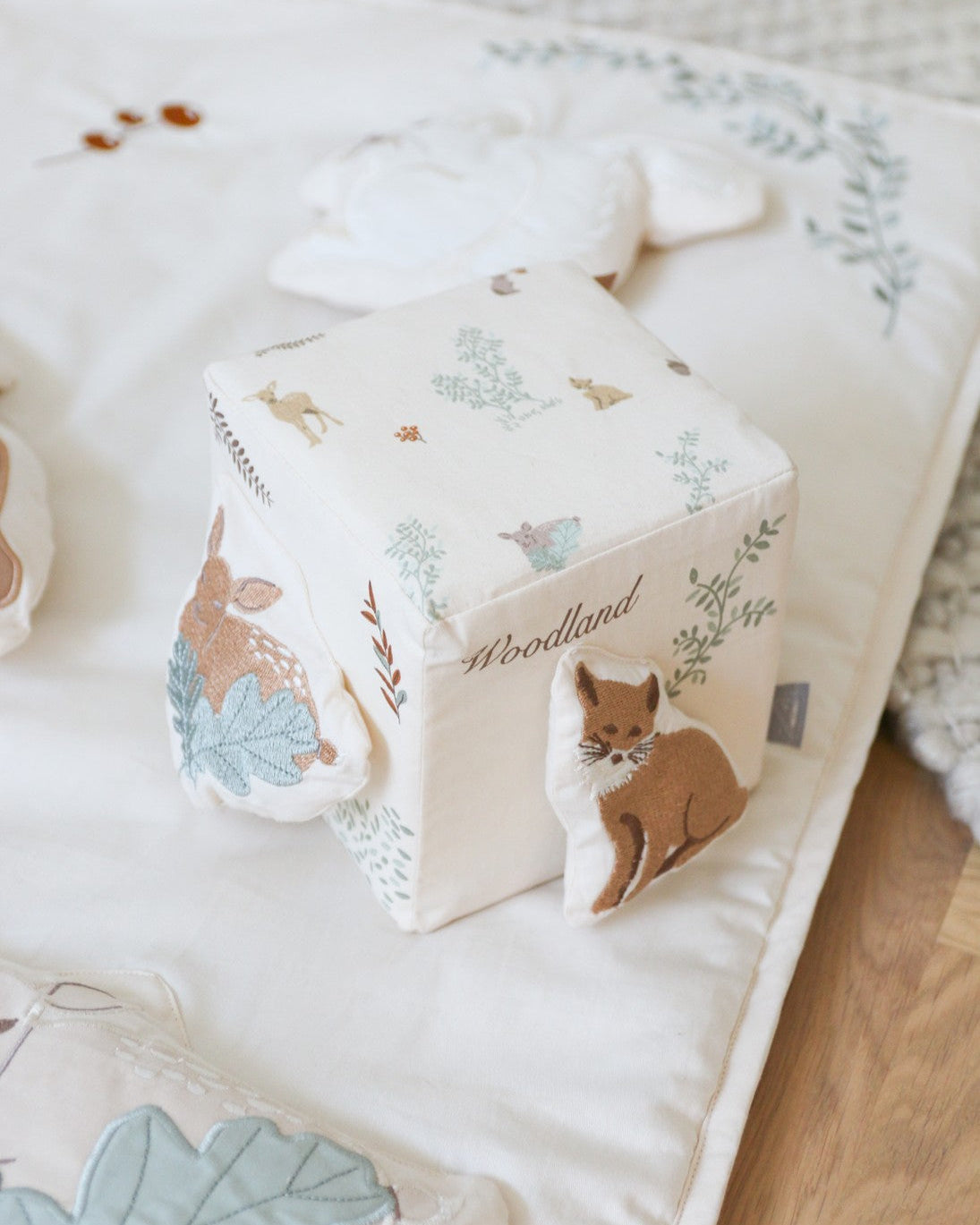 Activity Cube - OCS - Woodland