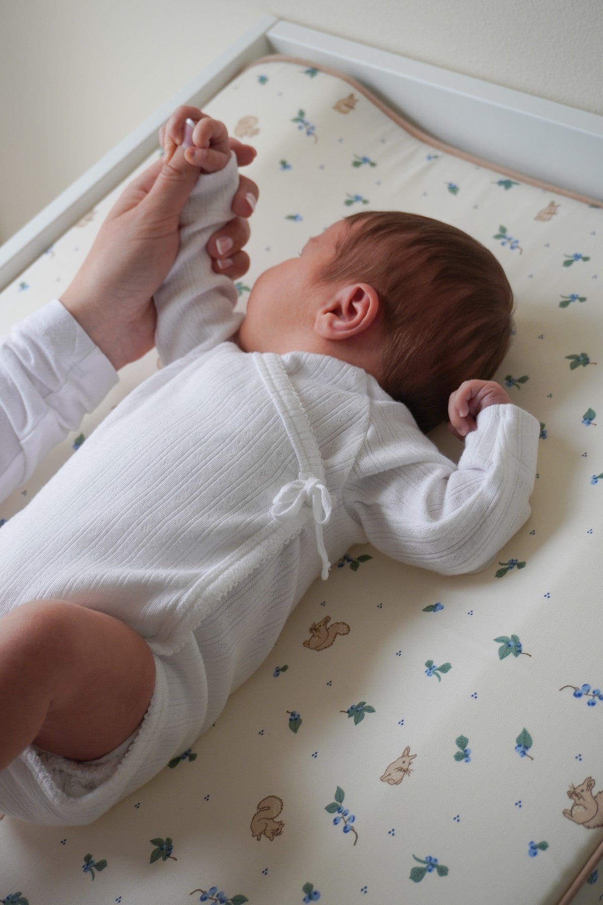 Changing Cushion - OCS - Blueberries