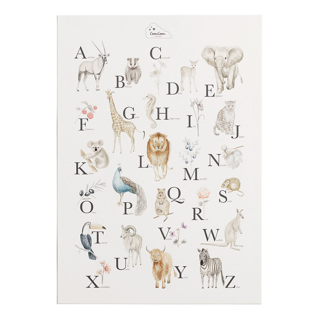 Alphabet Poster - French Version