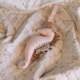 Newborn Blanket - OCS Ashley