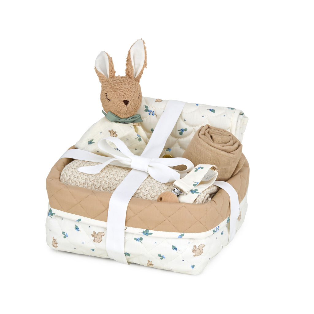 Baby Shower Hamper - Blueberries