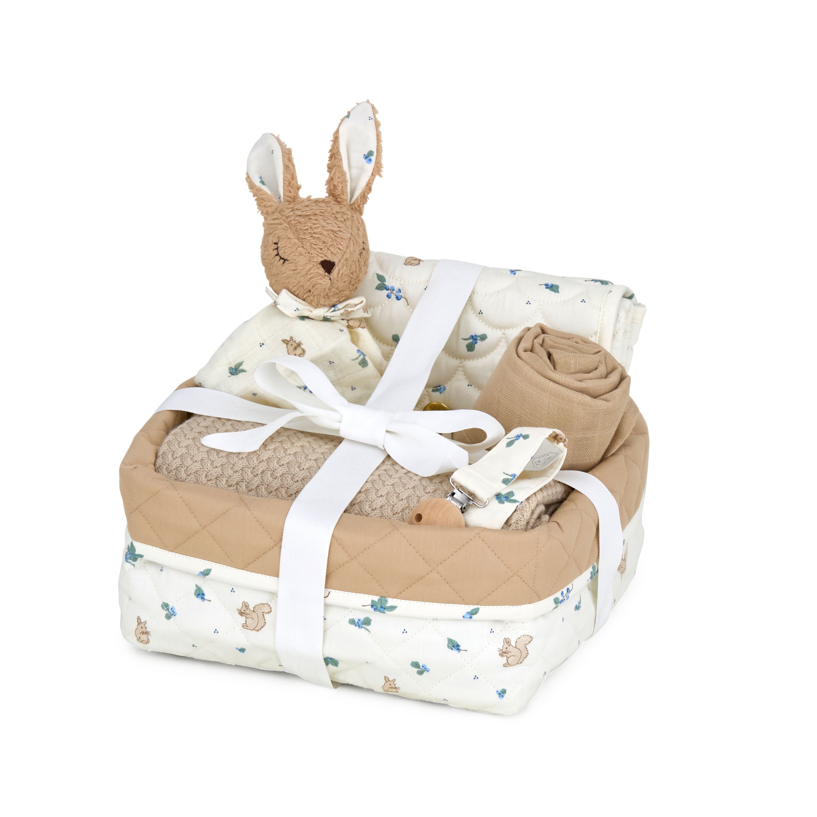 Baby Shower Hamper - Blueberries