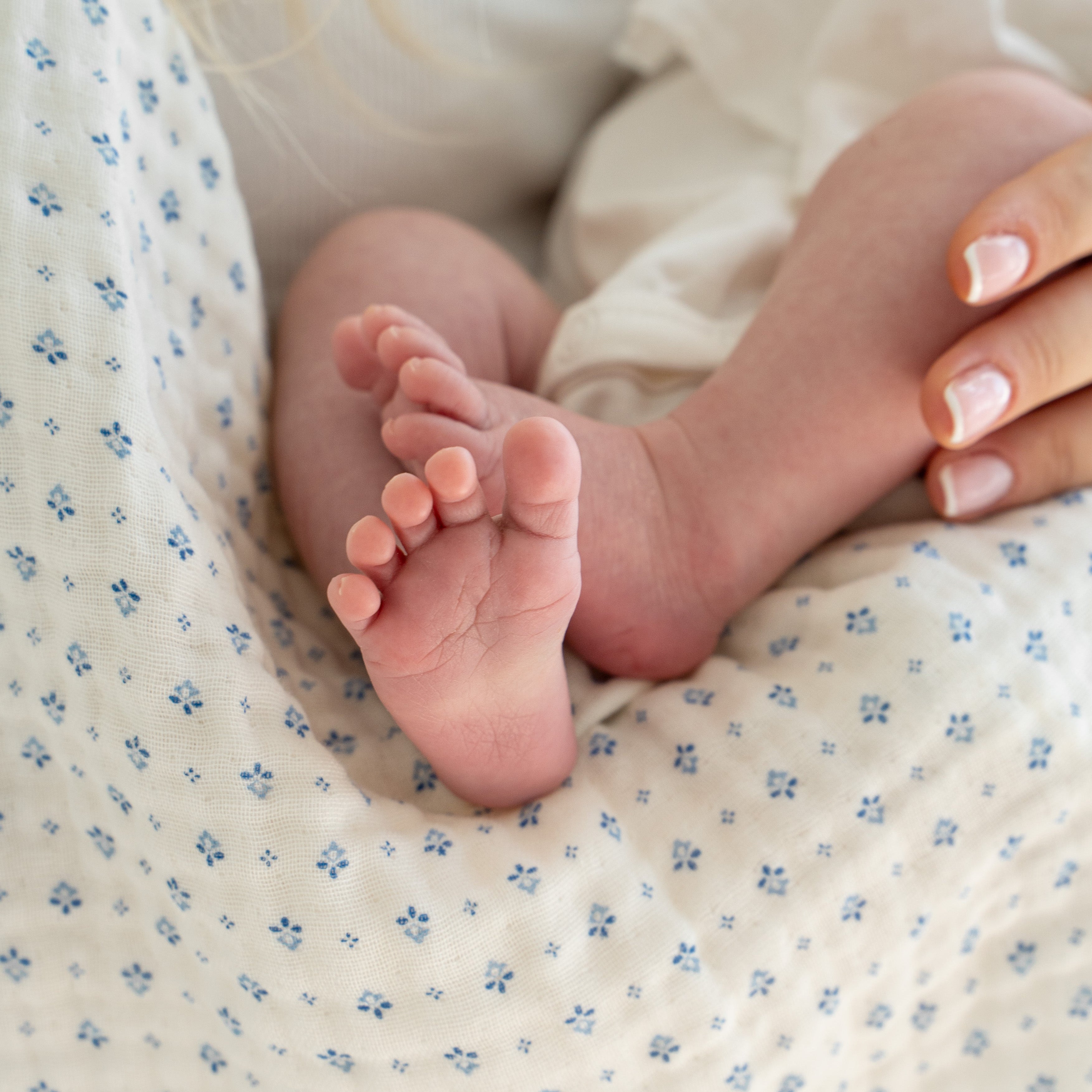 Muslin Baby Blanket - GOTS - Caprice