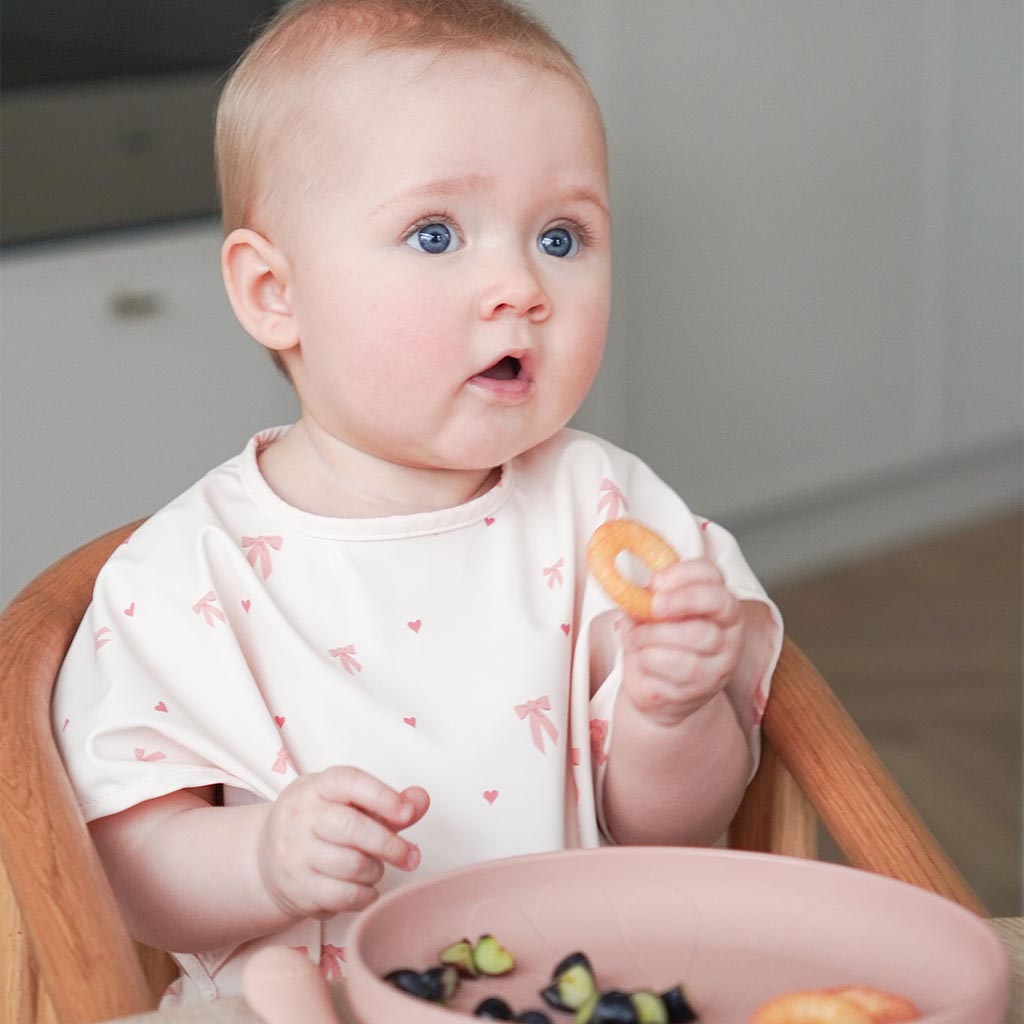 Short Sleeved Bib - Bows