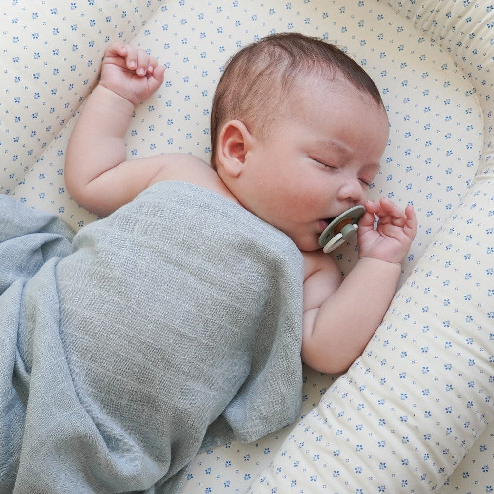 Baby Nest - OCS  - Caprice