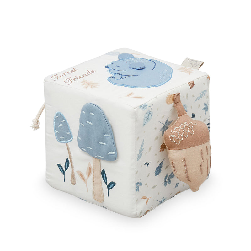 Activity Cube - OCS Forest Friends