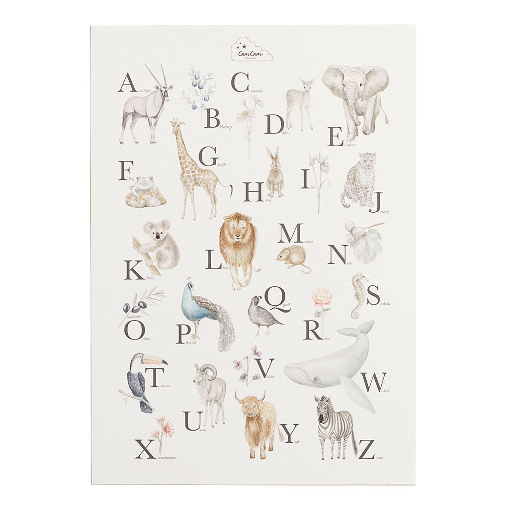 Poster alphabet - Version anglaise
