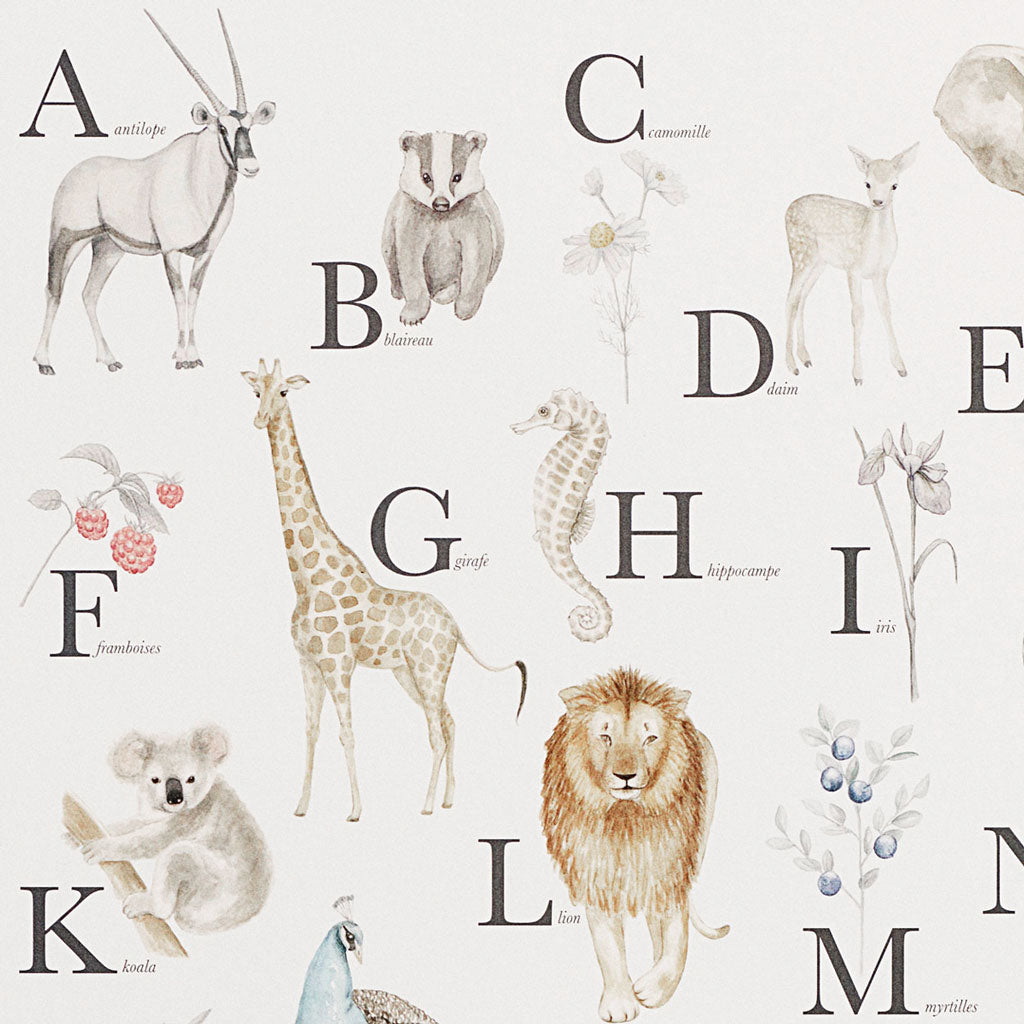 Alphabet Poster - French Version